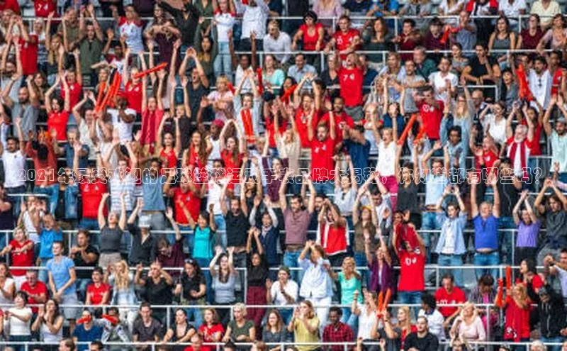 NG体育·南宫官方网站百度数据开放平台2021年最受欢迎的足球篮球运动手表品牌大揭秘，你知道都有哪些吗？