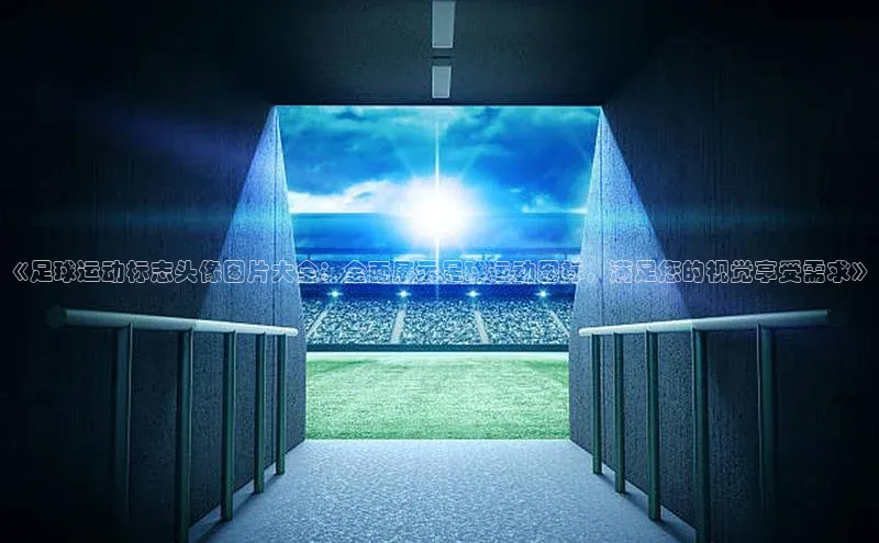 ng28相信品牌的力量注册入口歌力思《足球运动标志头像图片大全：全面展示足球运动图标，满足您的视觉享受需求》