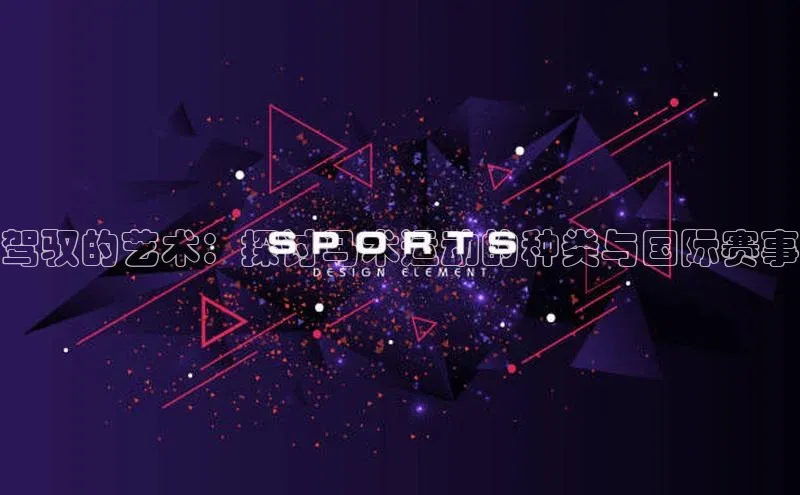 南宫28ng娱乐平台游戏特色荣信文化驾驭的艺术：探讨马术运动的种类与国际赛事