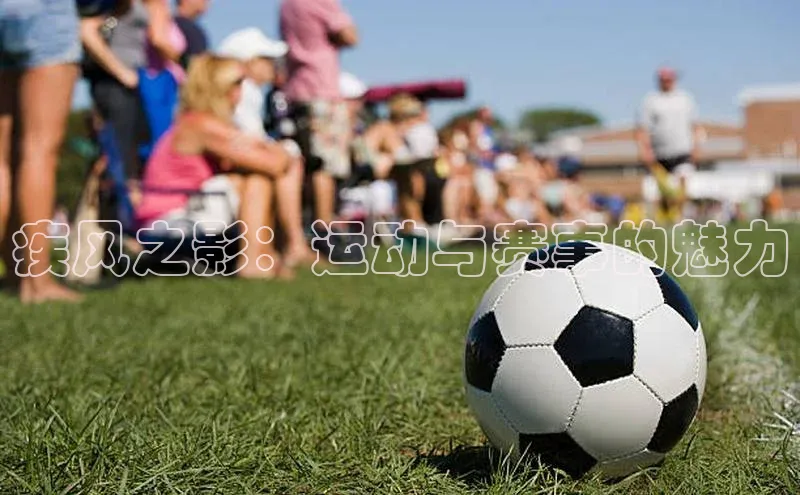 疾风之影：运动与赛事的魅力