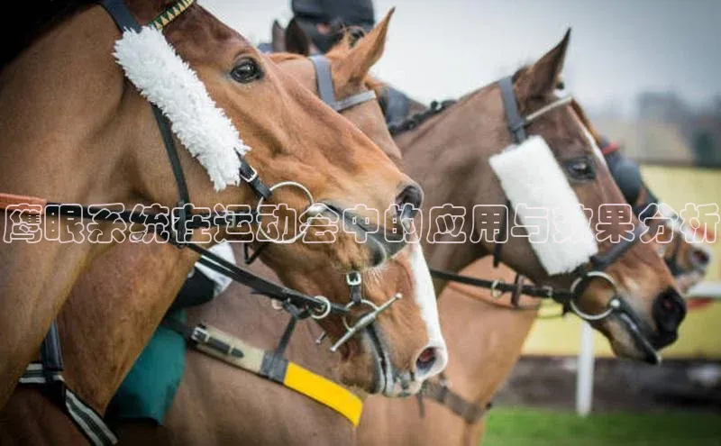 鹰眼系统在运动会中的应用与效果分析