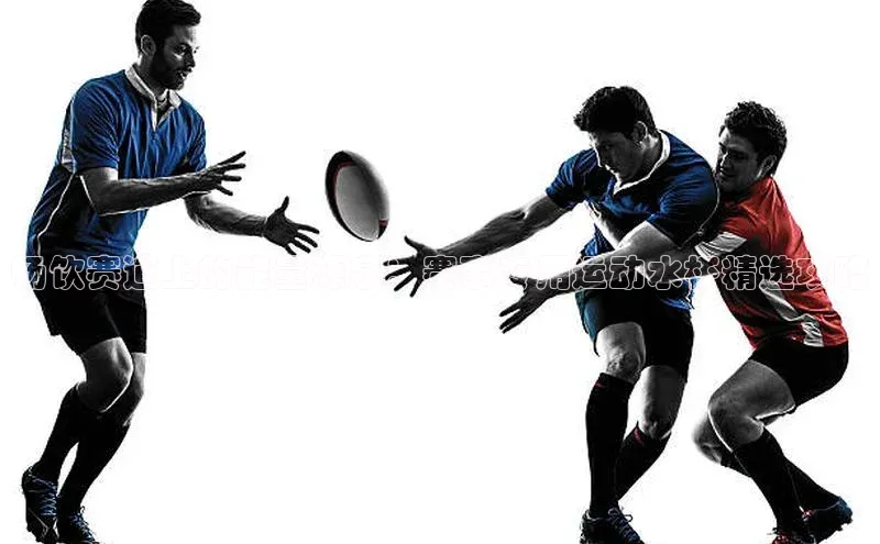 畅饮赛道上的能量源泉：赛事专用运动水杯精选攻略