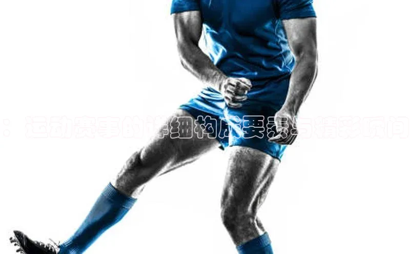 ：运动赛事的详细构成要素与精彩瞬间