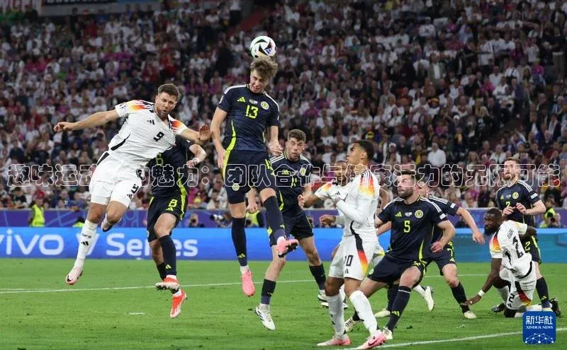 趣味运动会的魅力：团队合作与健康活力的无限可能