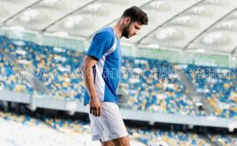 极限运动赛事的盈利策略分析：行业增长的新路径