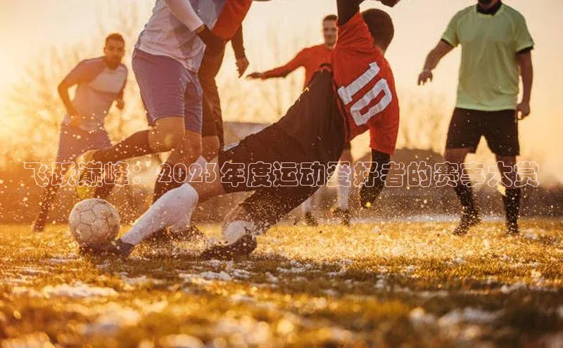 飞跃巅峰：2023年度运动爱好者的赛事大赏