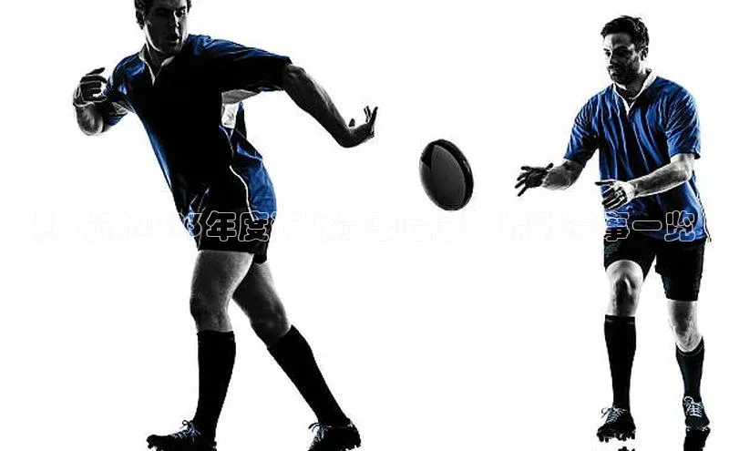 潍坊市2023年度游泳赛事名录：精彩赛事一览