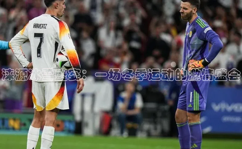 涞源冰雪盛宴：一场冬季运动的激情盛会