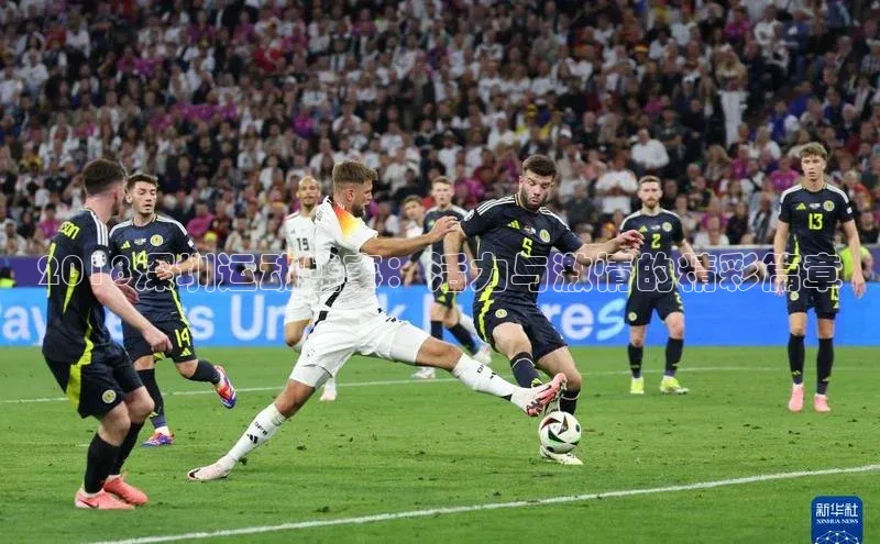 2018深圳运动盛事：活力与激情的精彩篇章