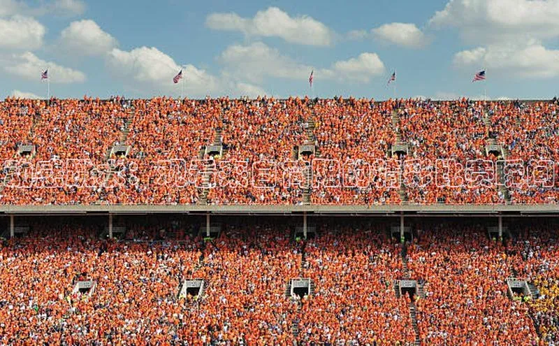 动感跳水：观看来自简阳的精彩比赛瞬间