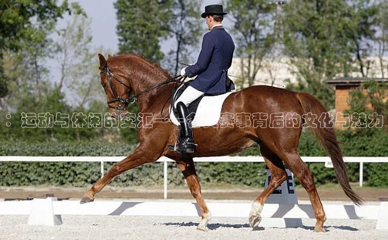 ng28南宫娱乐平台下载