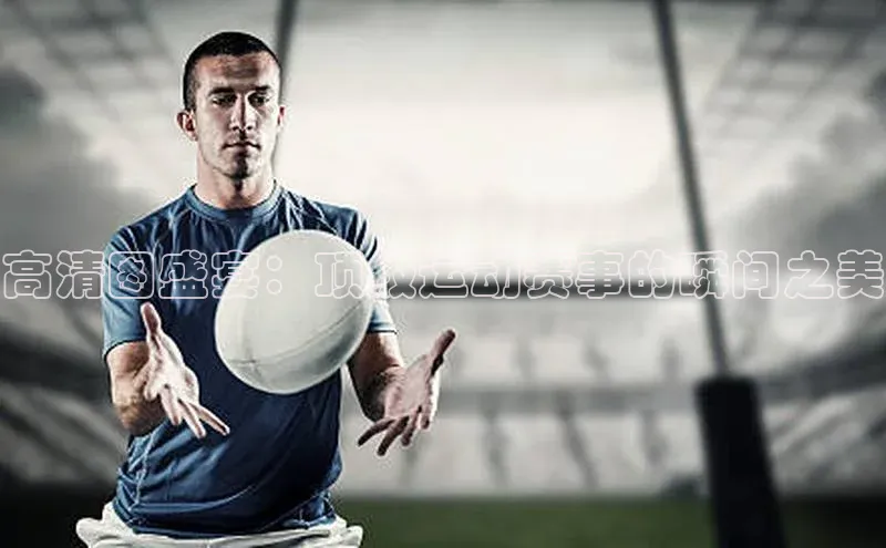 ng28官网入口下载