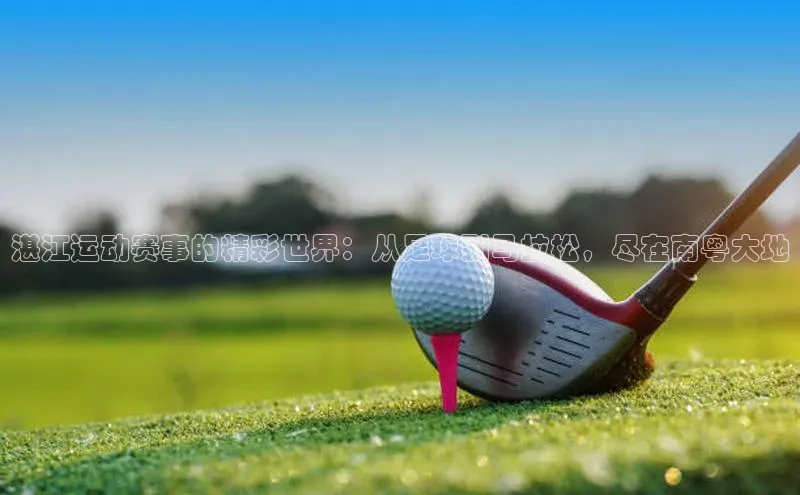 ng娱乐电子游戏官网