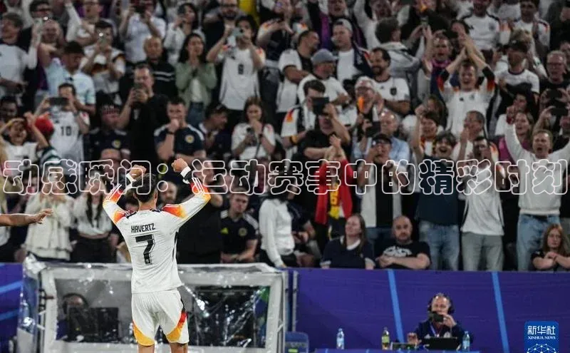 ng28相信品牌的力量登录入口