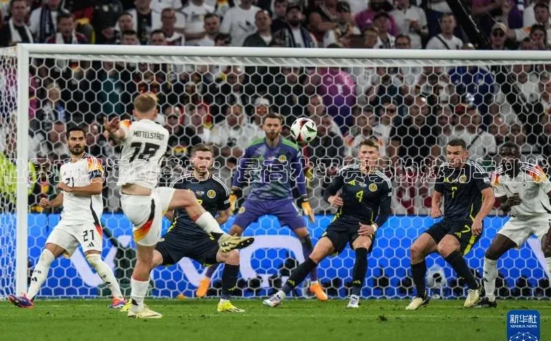 世界顶级运动盛事：最高水平赛事的魅力与挑战